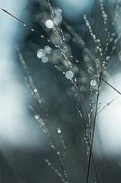 V社新专利曝光：允许玩家一边下载一边玩游戏